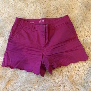 Loft Scalloped Shorts, Magenta color
